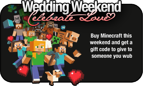 Minecraft Wedding Weekend Special